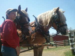 Deb with Draft Horse